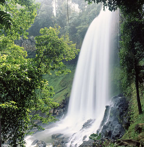 Da Lat’s Waterfalls