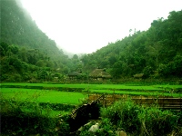 Pu Luong Nature Reserve