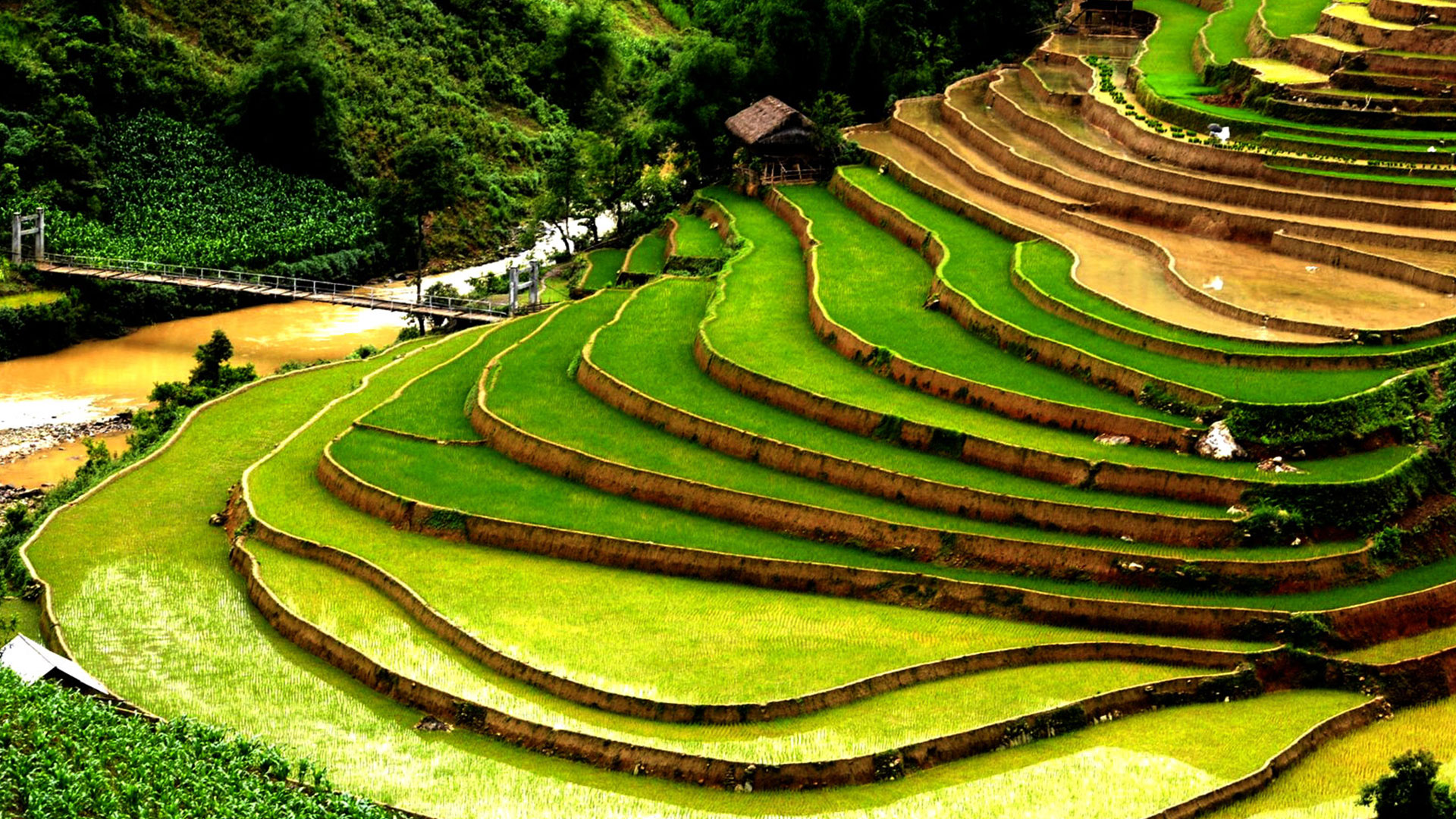 Vietnam Package Tours
