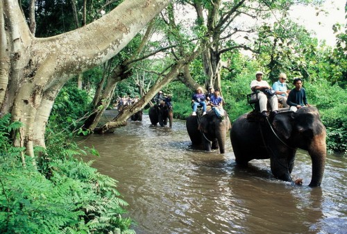Amazing Chiang Mai package tour 5 Days